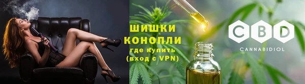 mdpv Богородск