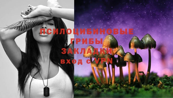 mix Богородицк