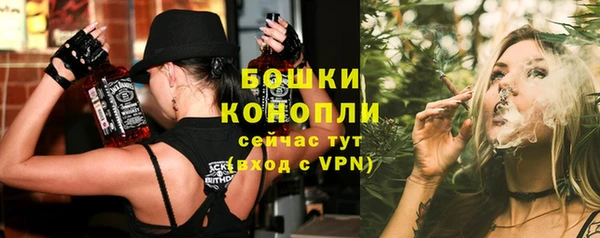 mdpv Богородск