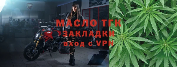 mix Богородицк